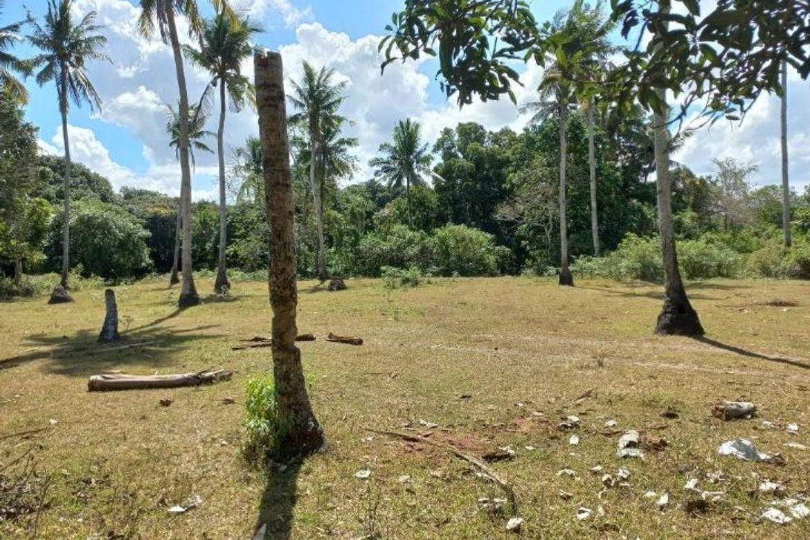 Land for Sale in Alangilan, Batangas City, Batangas – photo 4