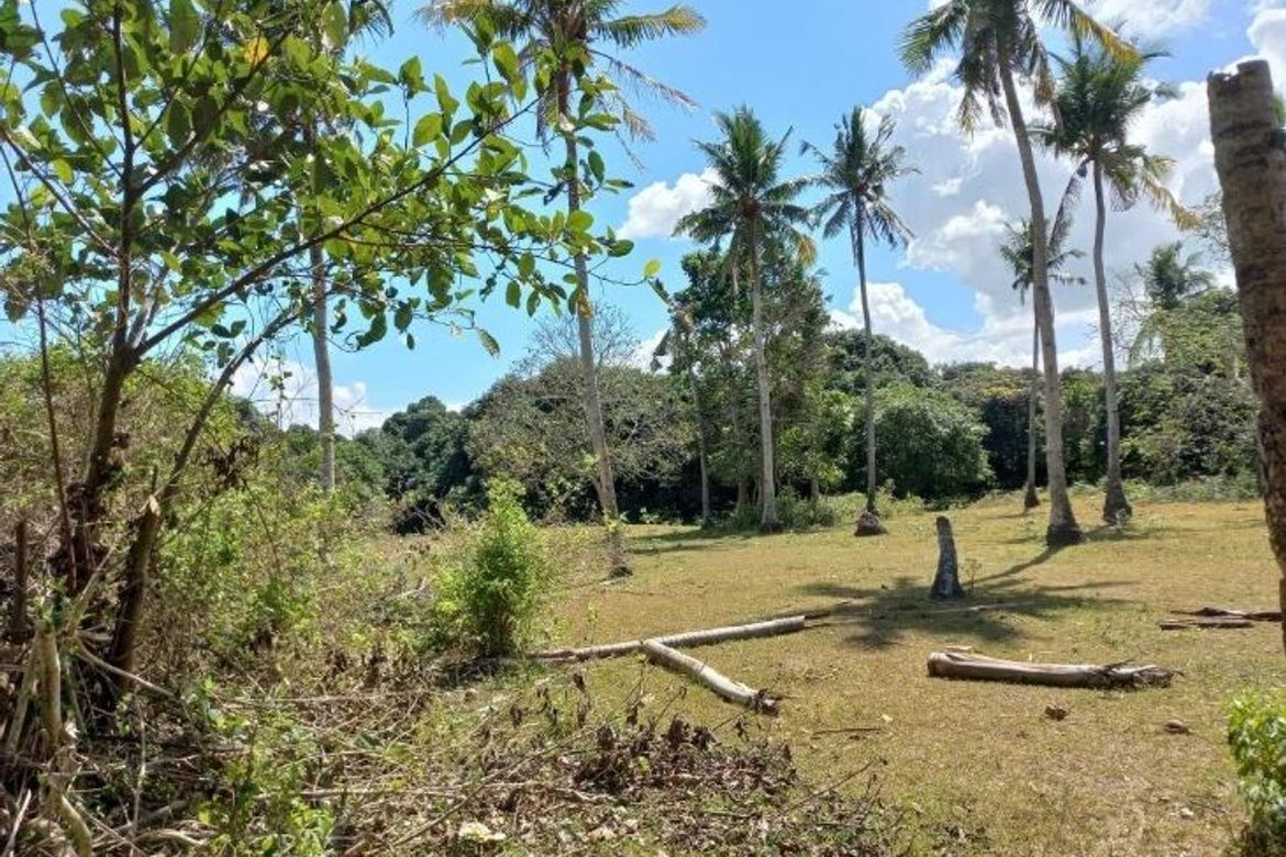 Land for Sale in Alangilan, Batangas City, Batangas – photo 5