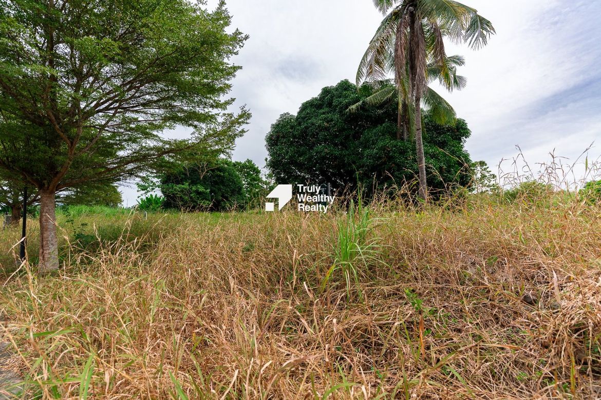 Land for Sale in Alegria Hills, Agusan, Cagayan de Oro, Misamis Oriental – photo 2