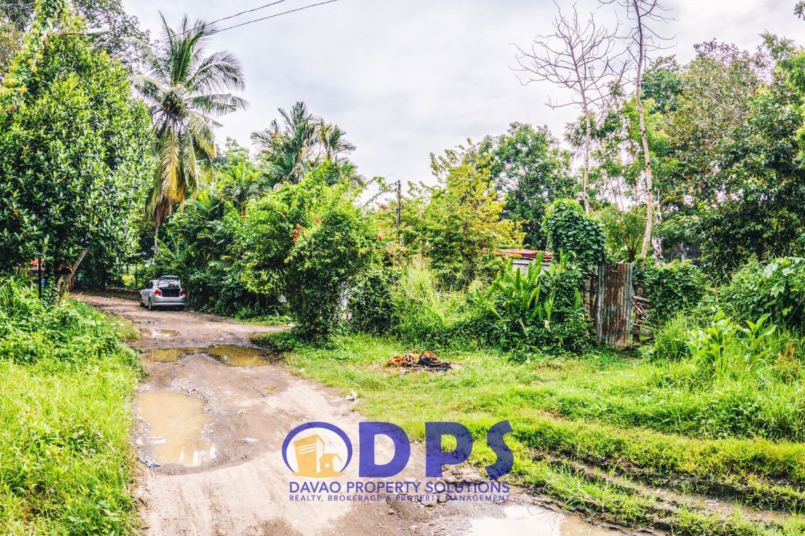 Land for Sale in Alfonso Angliongto S, Davao City, Davao del Sur – photo 4