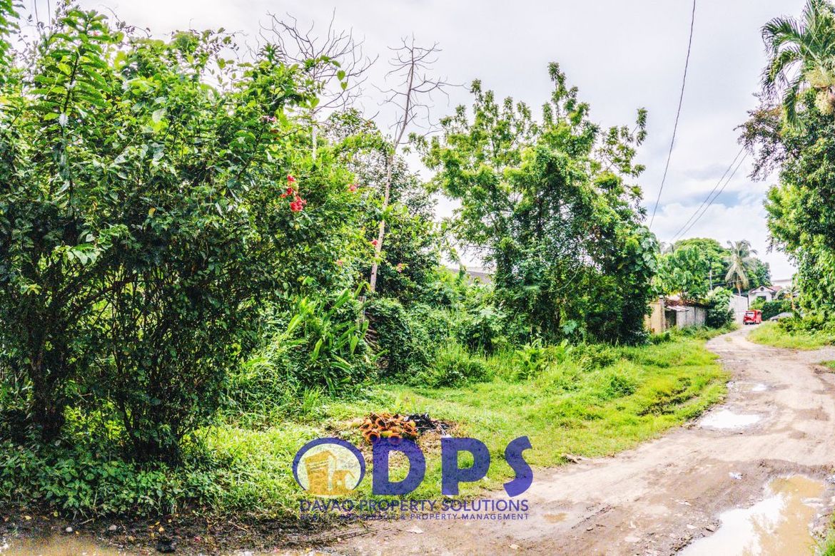 Land for Sale in Alfonso Angliongto S, Davao City, Davao del Sur – photo 5