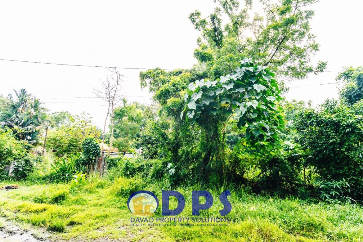 Land for Sale in Alfonso Angliongto S, Davao City, Davao del Sur – photo 6