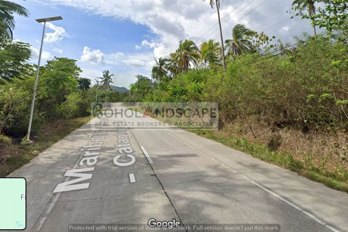 Land for Sale in Aliguay, Maribojoc, Bohol – photo 3