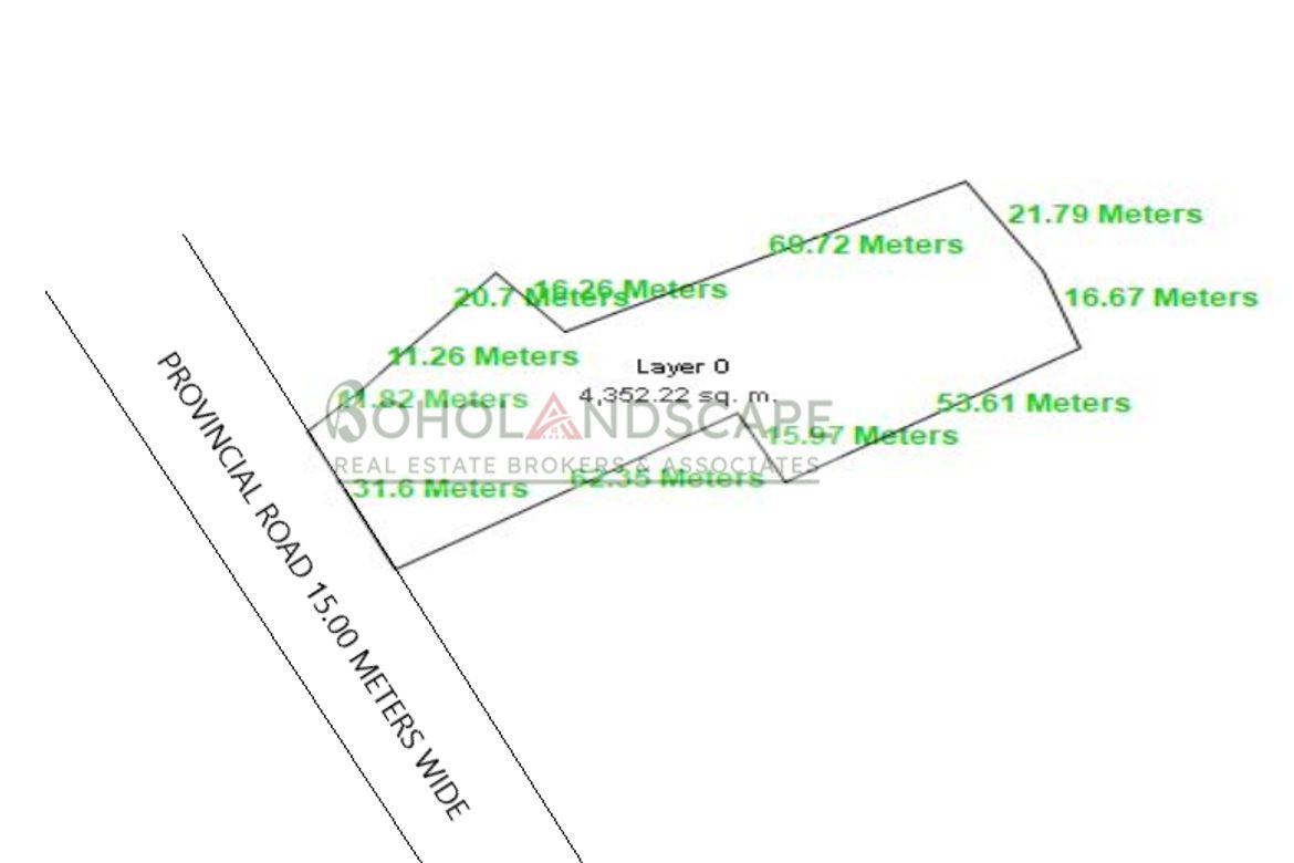 Land for Sale in Aliguay, Maribojoc, Bohol – photo 5