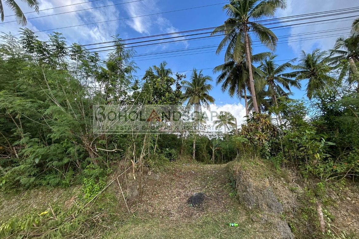 Land for Sale in Aliguay, Maribojoc, Bohol – photo 4