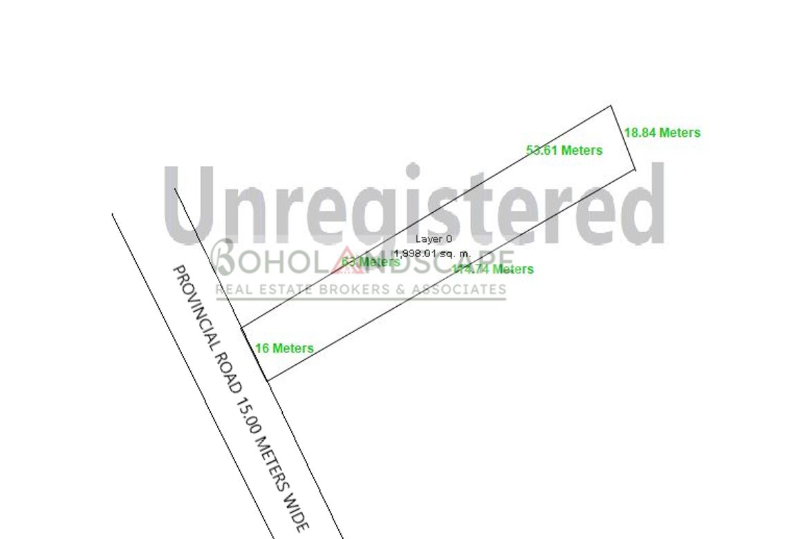 Land for Sale in Aliguay, Maribojoc, Bohol – photo 5