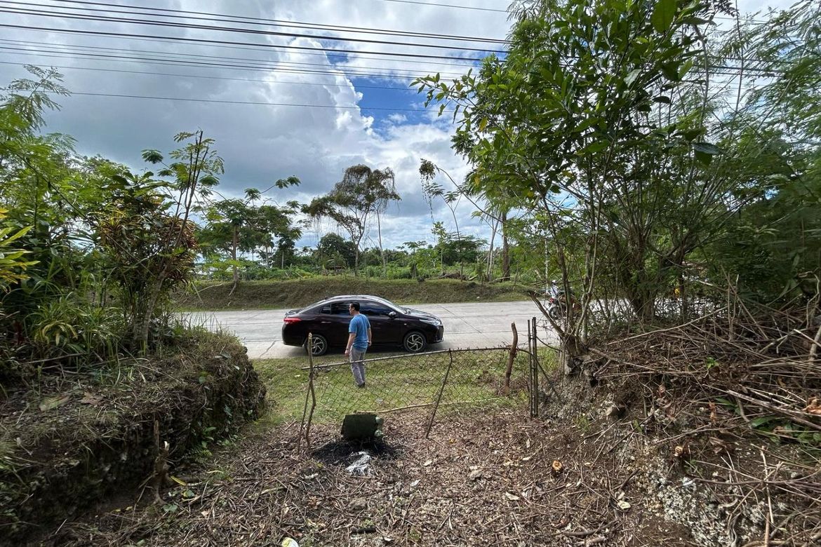 Land for Sale in Aliguay, Maribojoc, Bohol – photo 8