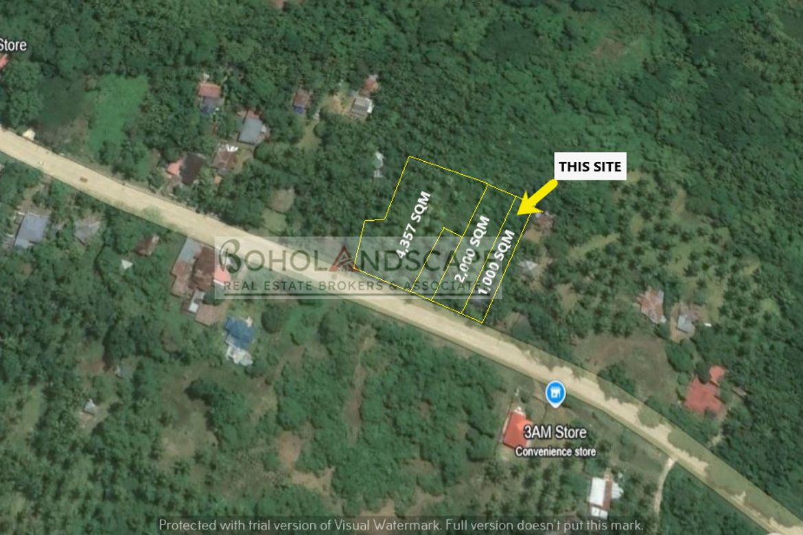 Land for Sale in Aliguay, Maribojoc, Bohol – photo 2