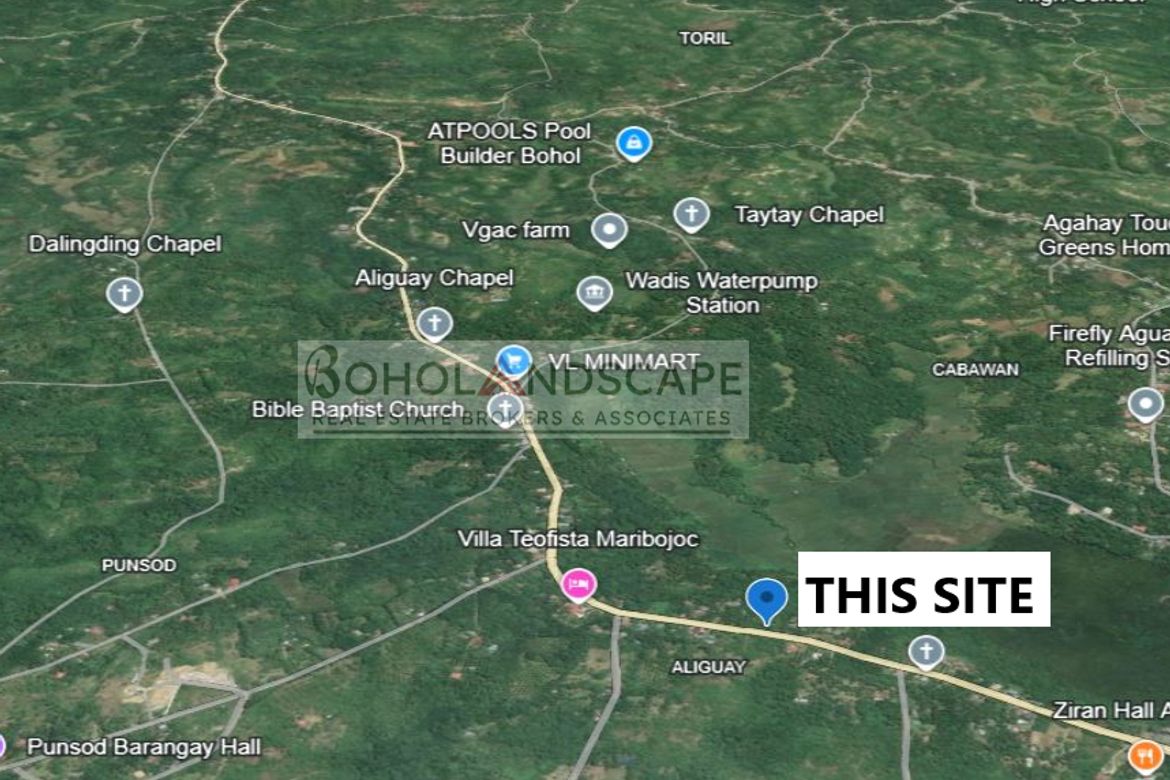 Land for Sale in Aliguay, Maribojoc, Bohol – photo 4