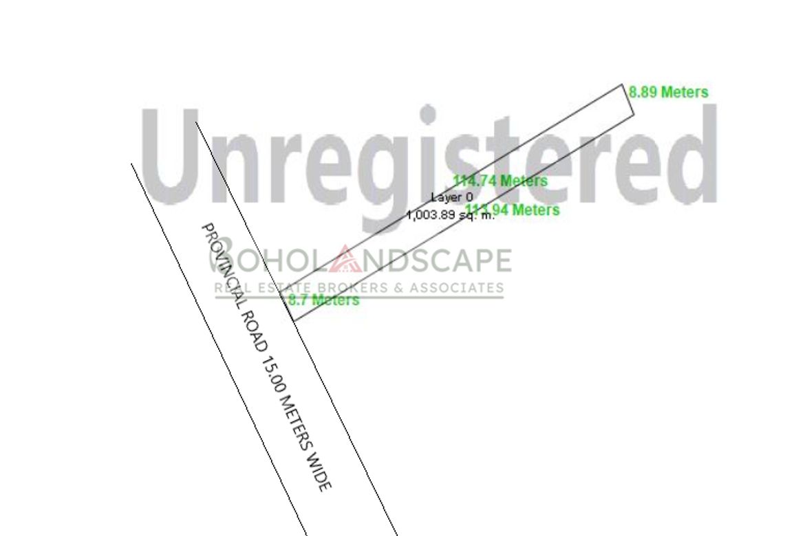 Land for Sale in Aliguay, Maribojoc, Bohol – photo 5