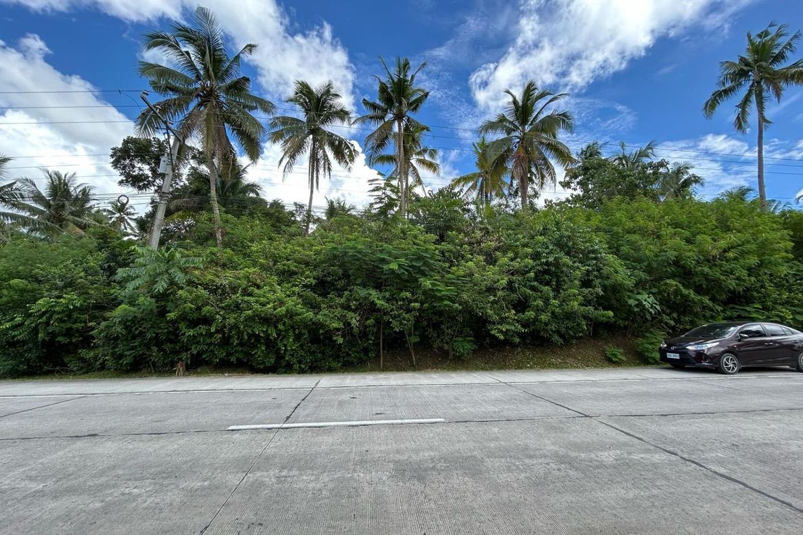 Land for Sale in Aliguay, Maribojoc, Bohol – photo 6