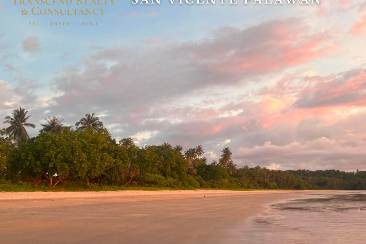 Land for Sale in Alimanguan, San Vicente, Palawan