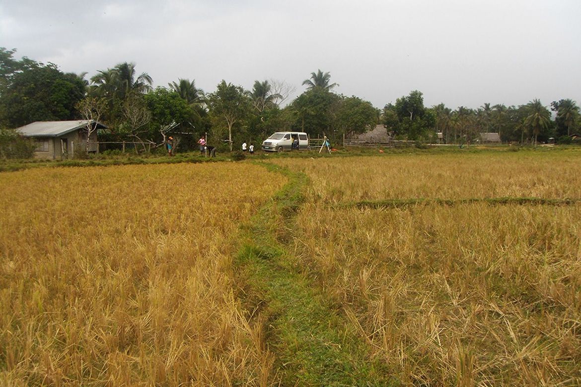 Land for Sale in Alimanguan, San Vicente, Palawan – photo 4