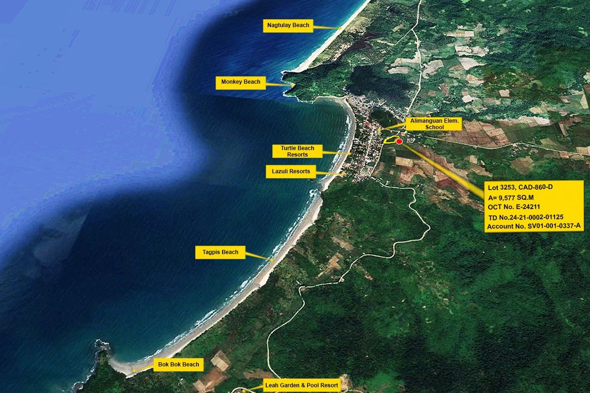 Land for Sale in Alimanguan, San Vicente, Palawan – photo 8