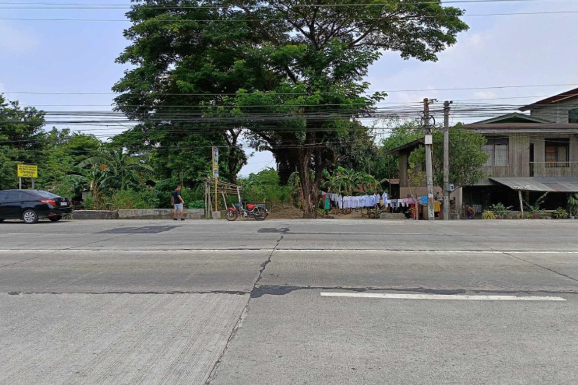 Land for Sale in Alipangpang, Pozorrubio, Pangasinan – photo 3