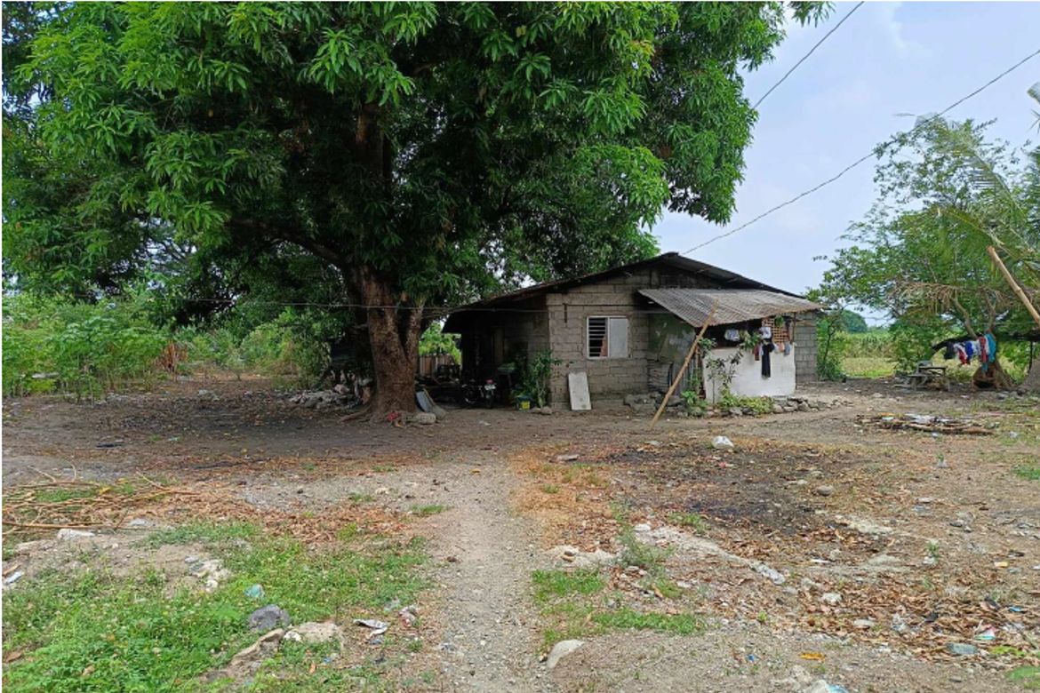 Land for Sale in Alipangpang, Pozorrubio, Pangasinan – photo 5