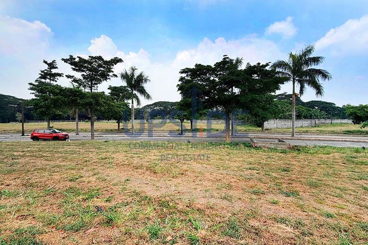 Land for Sale in Almanza Dos, Las Piñas, Metro Manila – photo 2