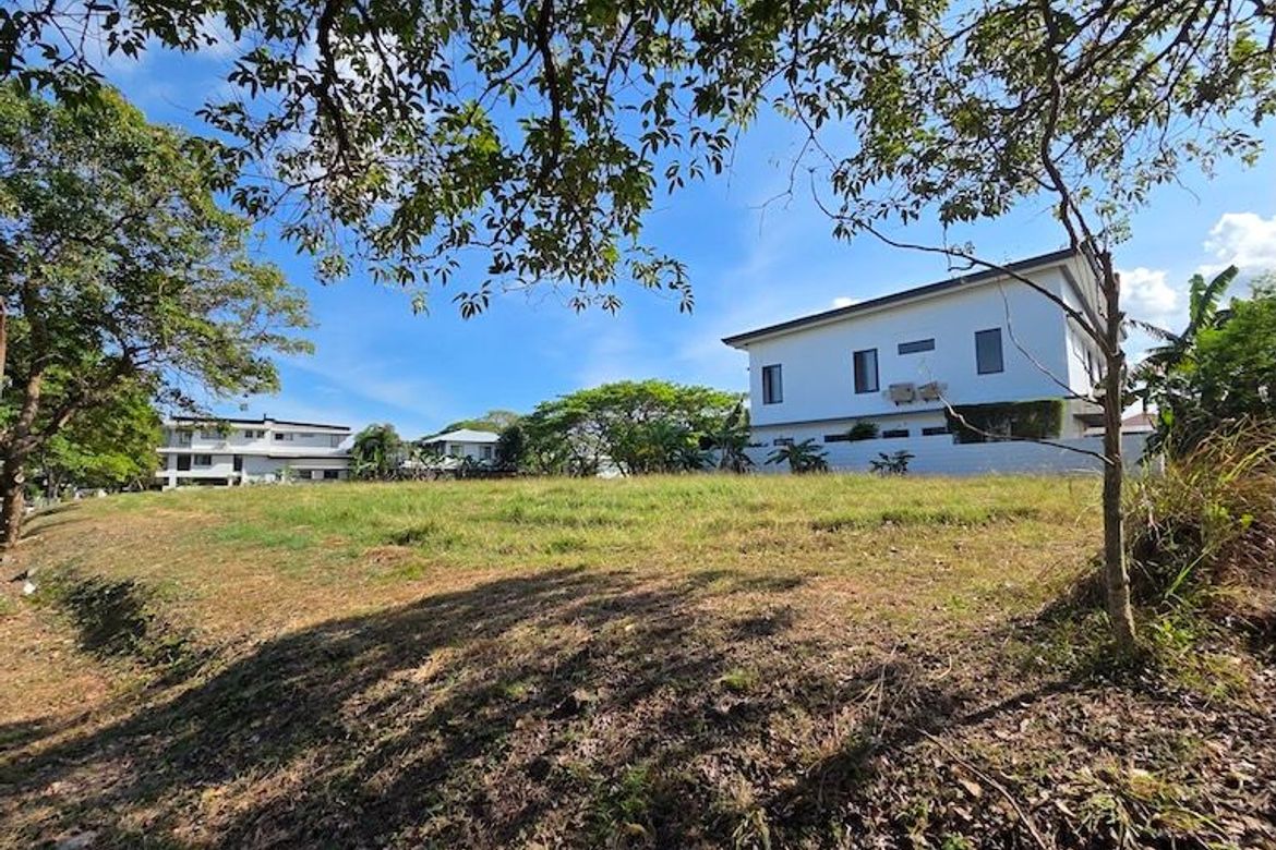 Land for Sale in Almanza Dos, Las Piñas, Metro Manila – photo 6