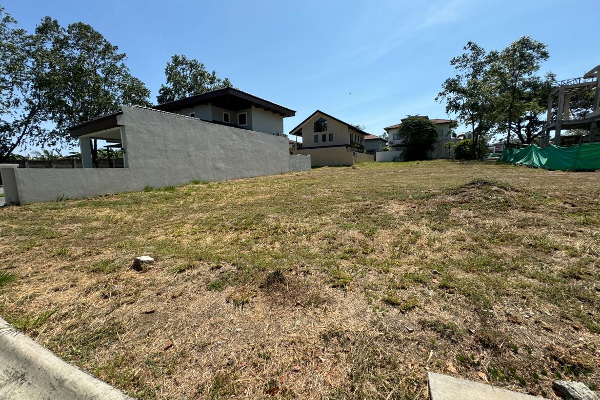 Land for Sale in Almanza Dos, Las Piñas, Metro Manila