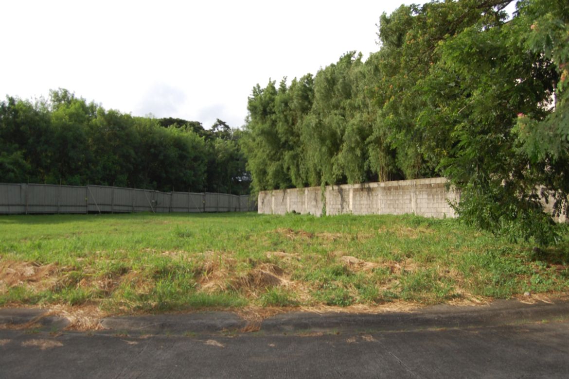 Land for Sale in Almanza Dos, Las Piñas, Metro Manila – photo 2