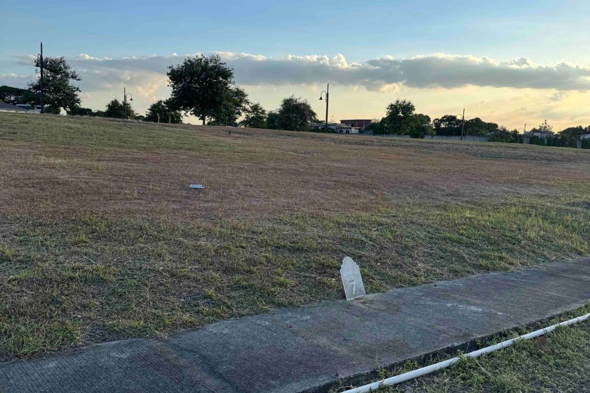 Land for Sale in Almanza Dos, Las Piñas, Metro Manila