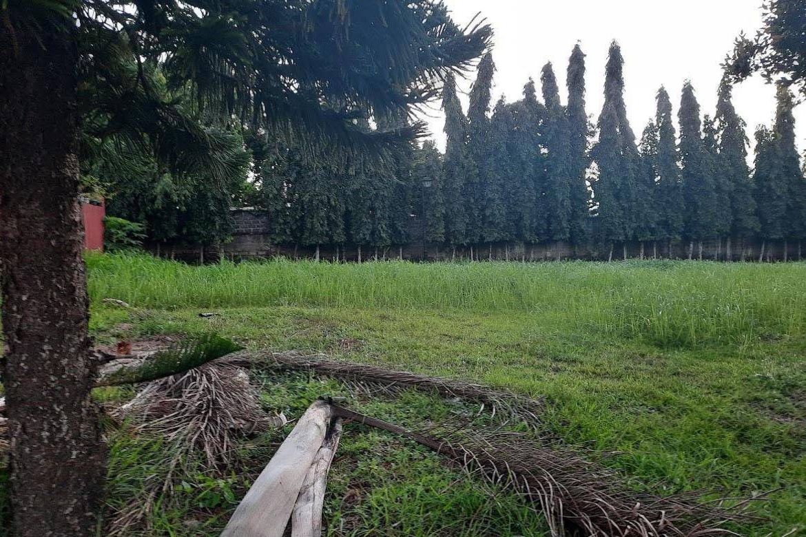 Land for Sale in Almanza Dos, Las Piñas, Metro Manila