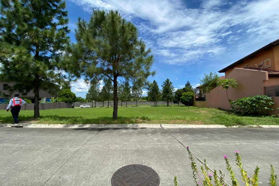 Land for Sale in Almanza Dos, Las Piñas, Metro Manila