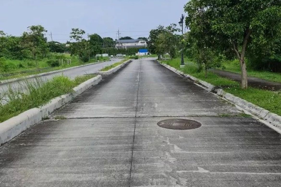 Land for Sale in Almanza Uno, Las Piñas, Metro Manila – photo 3