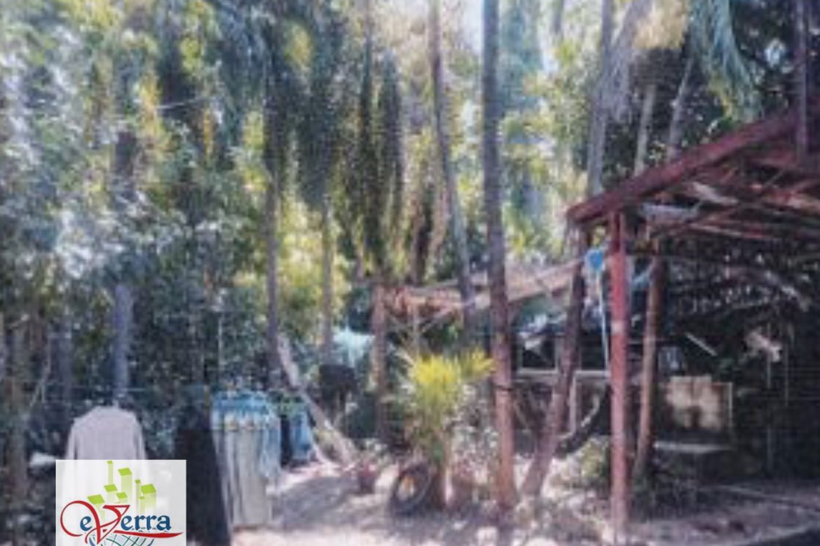 Land for Sale in Almanza Uno, Las Piñas, Metro Manila