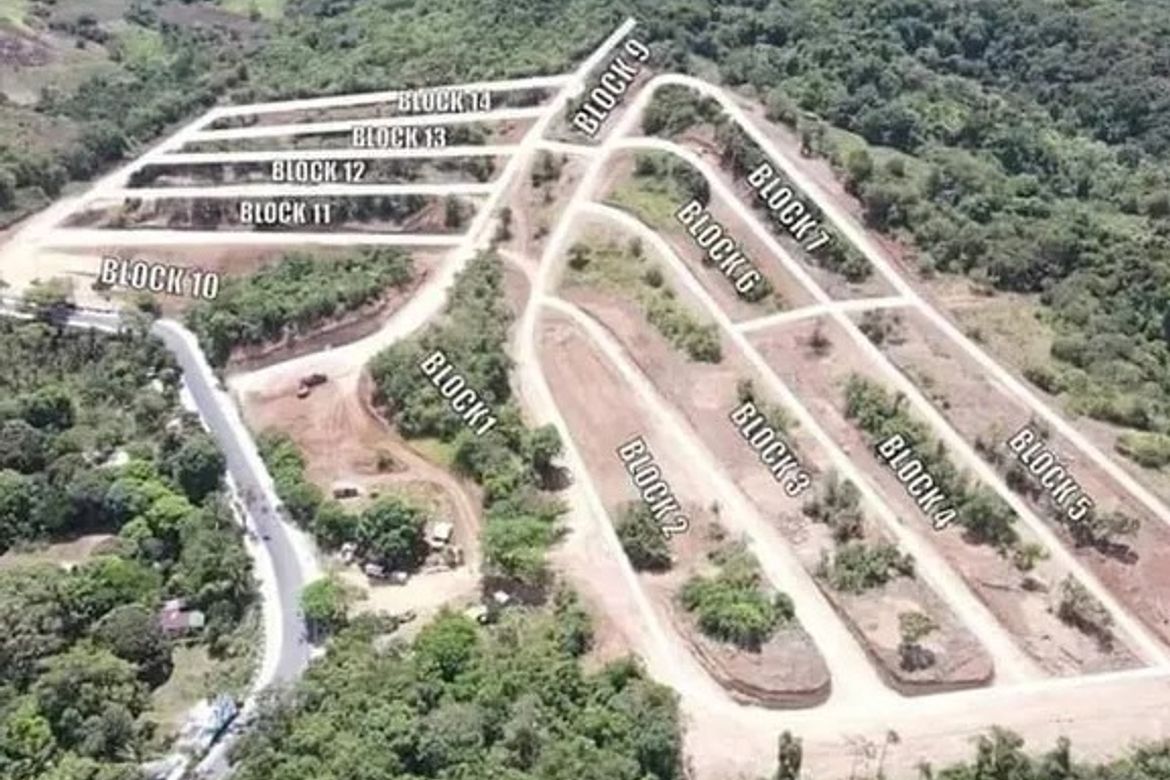 Land for Sale in Alta Monte Pililia, Halayhayin, Pililla, Rizal – photo 5