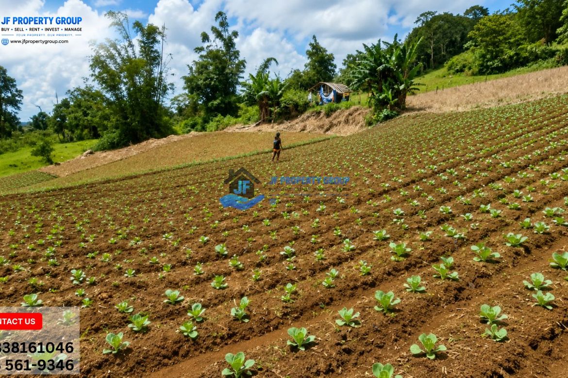 Land for Sale in Alta Vista, Ormoc, Leyte – photo 4