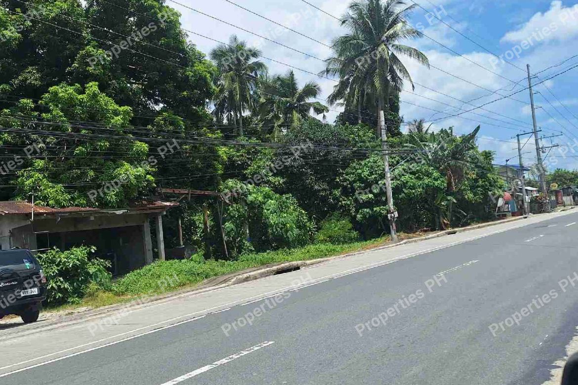 Land for Sale in Alupay, Rosario, Batangas – photo 2