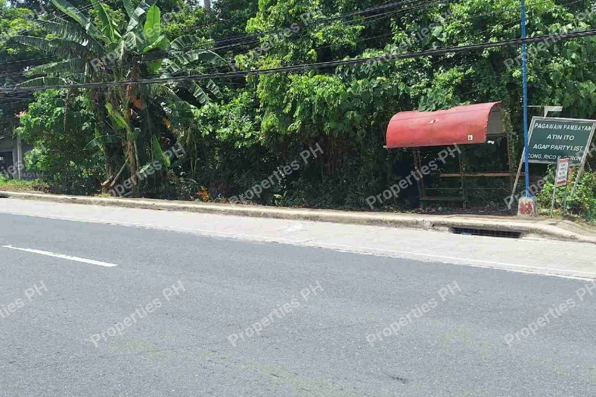 Land for Sale in Alupay, Rosario, Batangas – photo 3