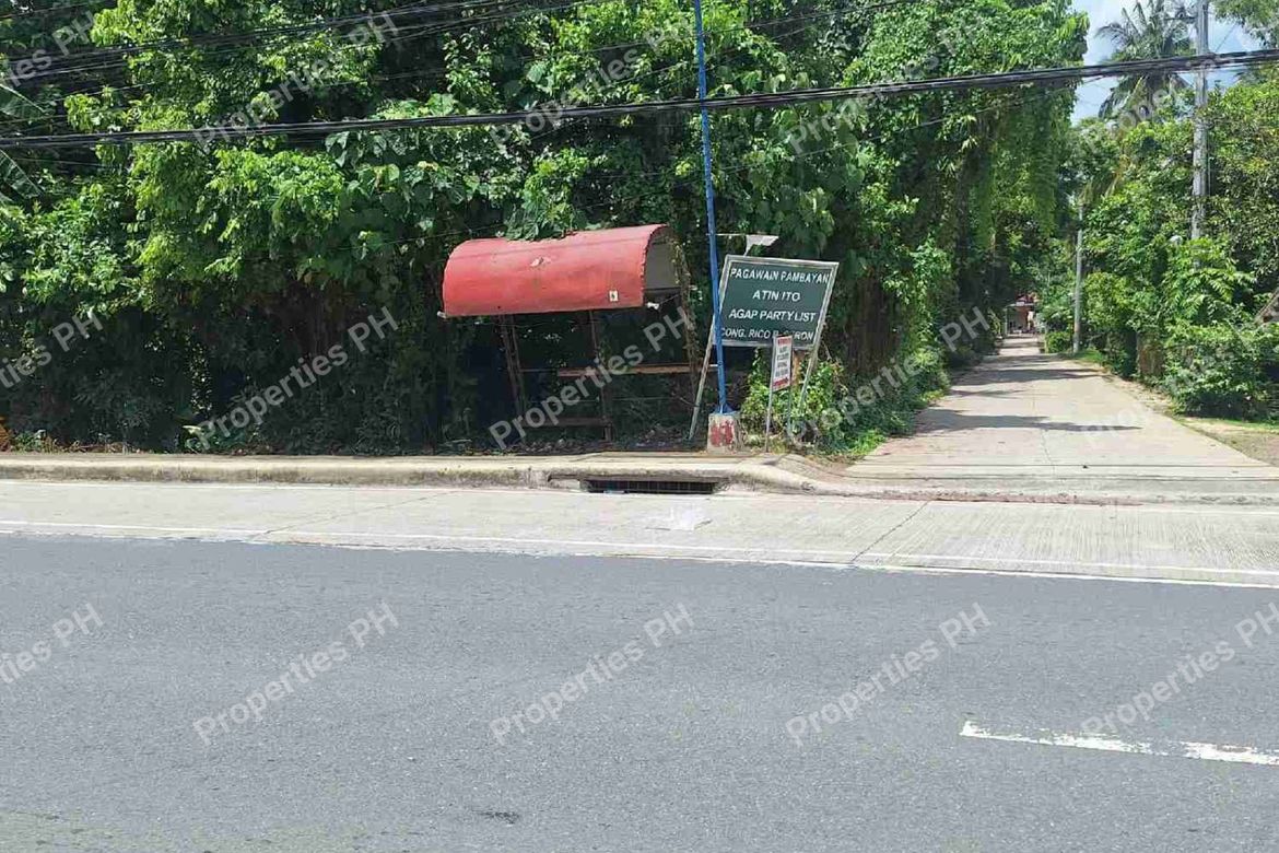 Land for Sale in Alupay, Rosario, Batangas – photo 4