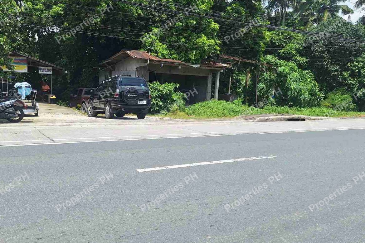 Land for Sale in Alupay, Rosario, Batangas – photo 6