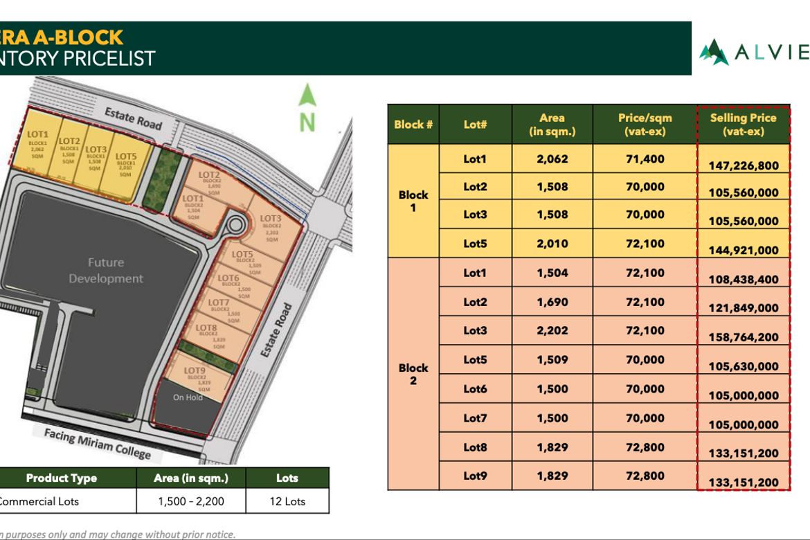 Land for Sale in Alviera, Dolores, Porac, Pampanga – photo 6