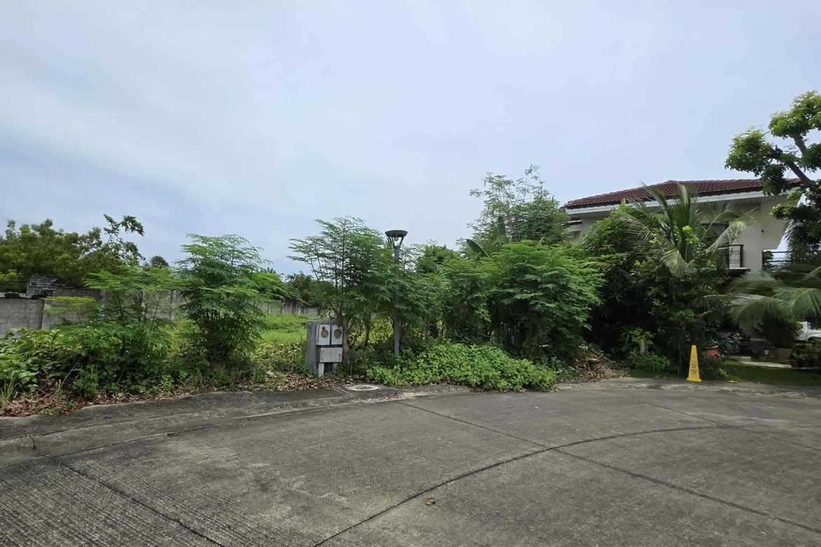 Land for Sale in Amara, Jubay, Liloan, Cebu – photo 7