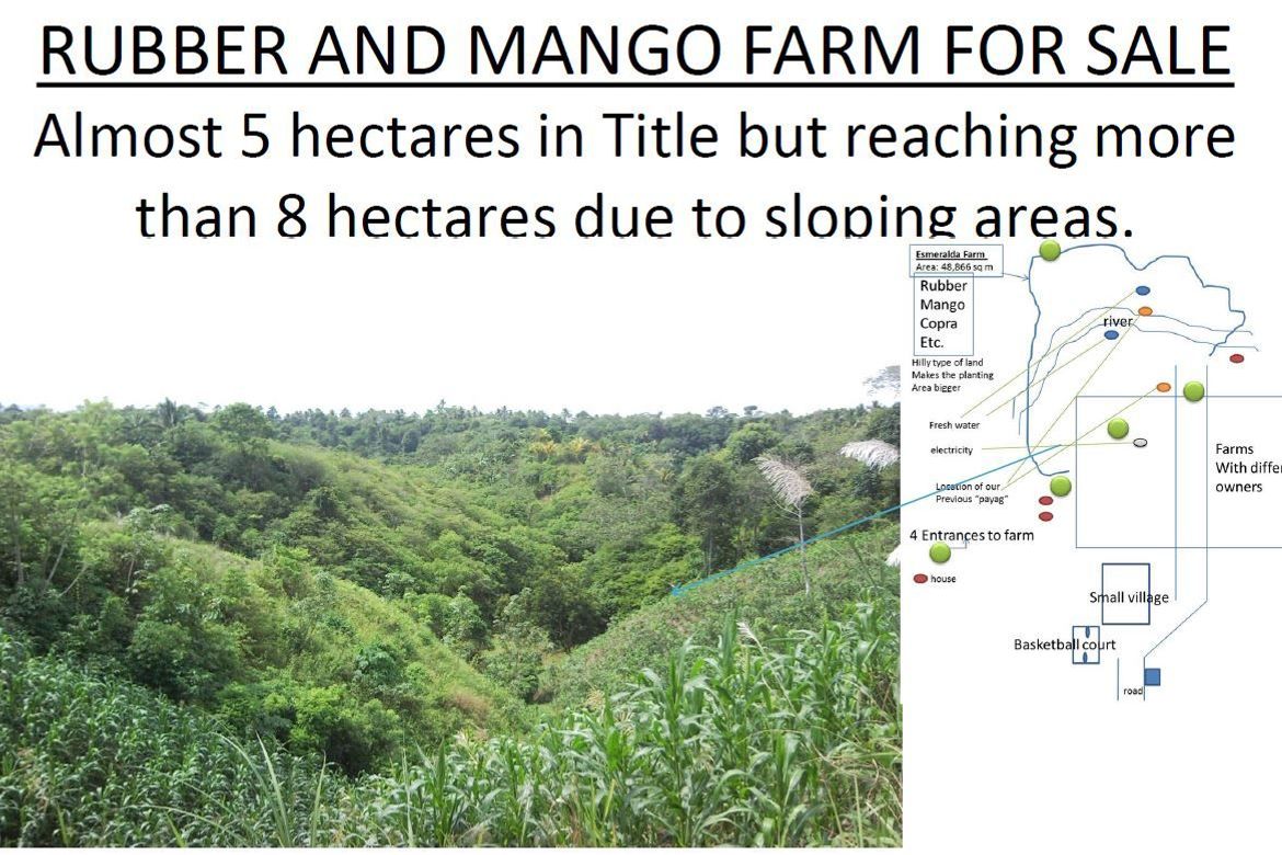 Land for Sale in Amas, Kidapawan, Cotabato – photo 5