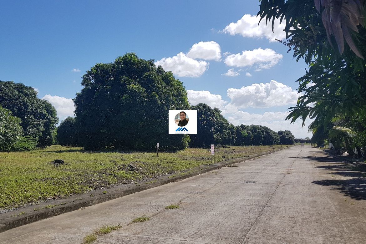 Land for Sale in Amaya I, Tanza, Cavite