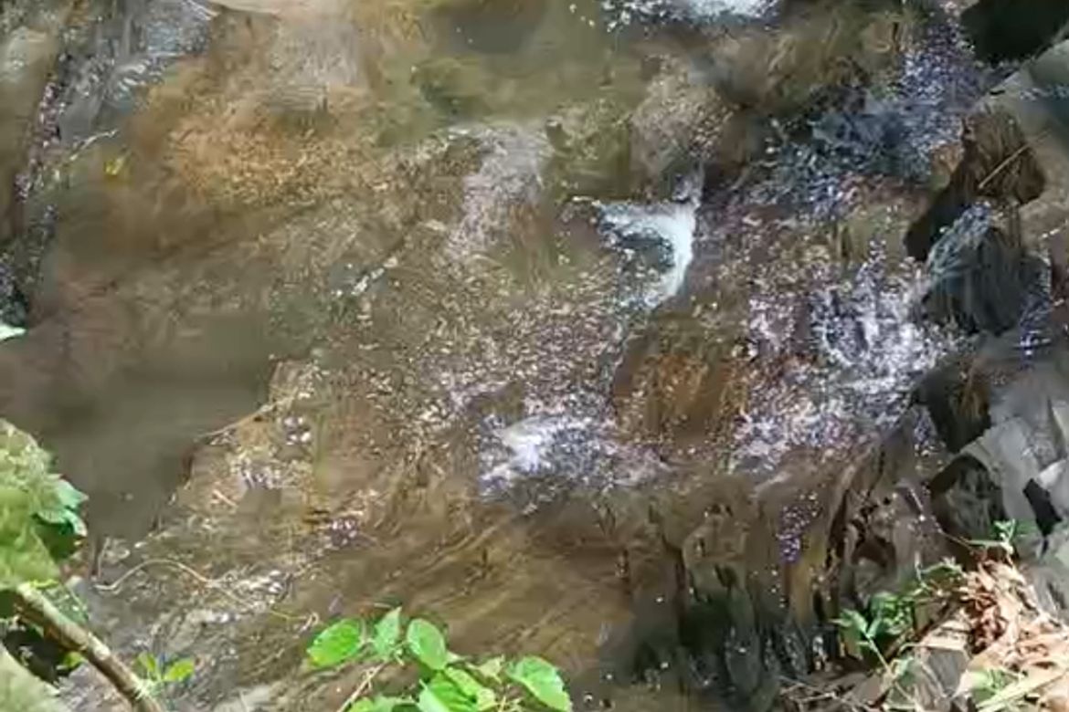 Land for Sale in Ambaracao Norte, Naguilian, La Union