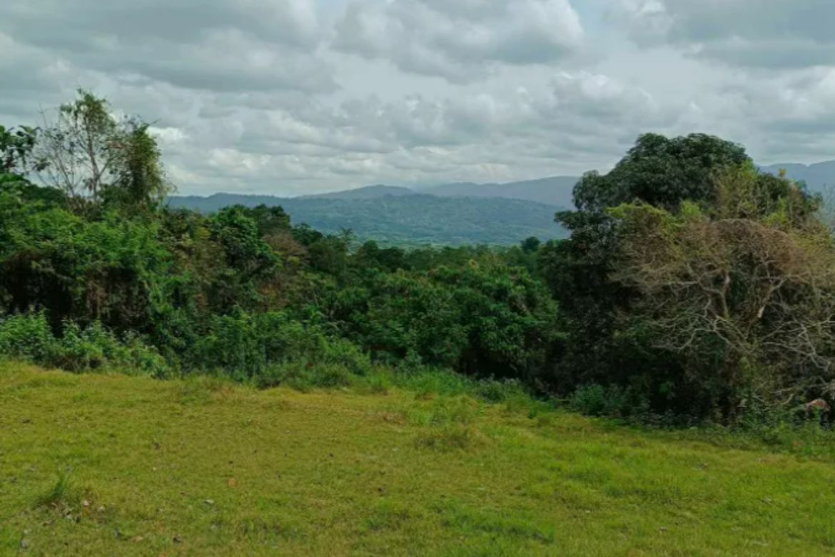 Land for Sale in Ambaracao Norte, Naguilian, La Union – photo 2