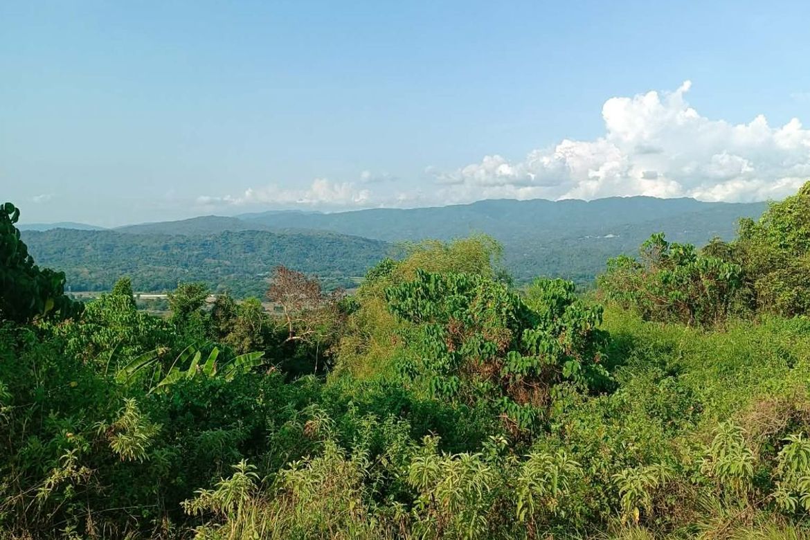 Land for Sale in Ambaracao Norte, Naguilian, La Union – photo 3
