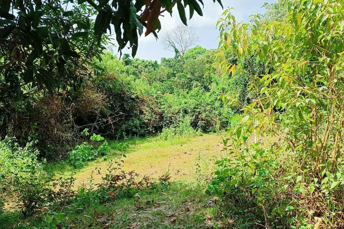 Land for Sale in Ambaracao Norte, Naguilian, La Union – photo 5