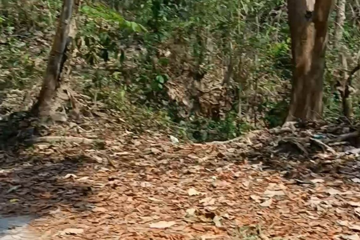 Land for Sale in Ambaracao Norte, Naguilian, La Union – photo 7