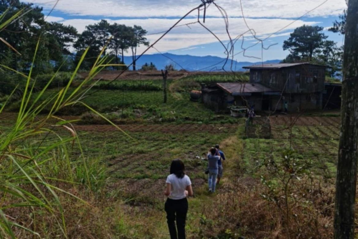 Land for Sale in Ambassador, Tublay, Benguet – photo 6