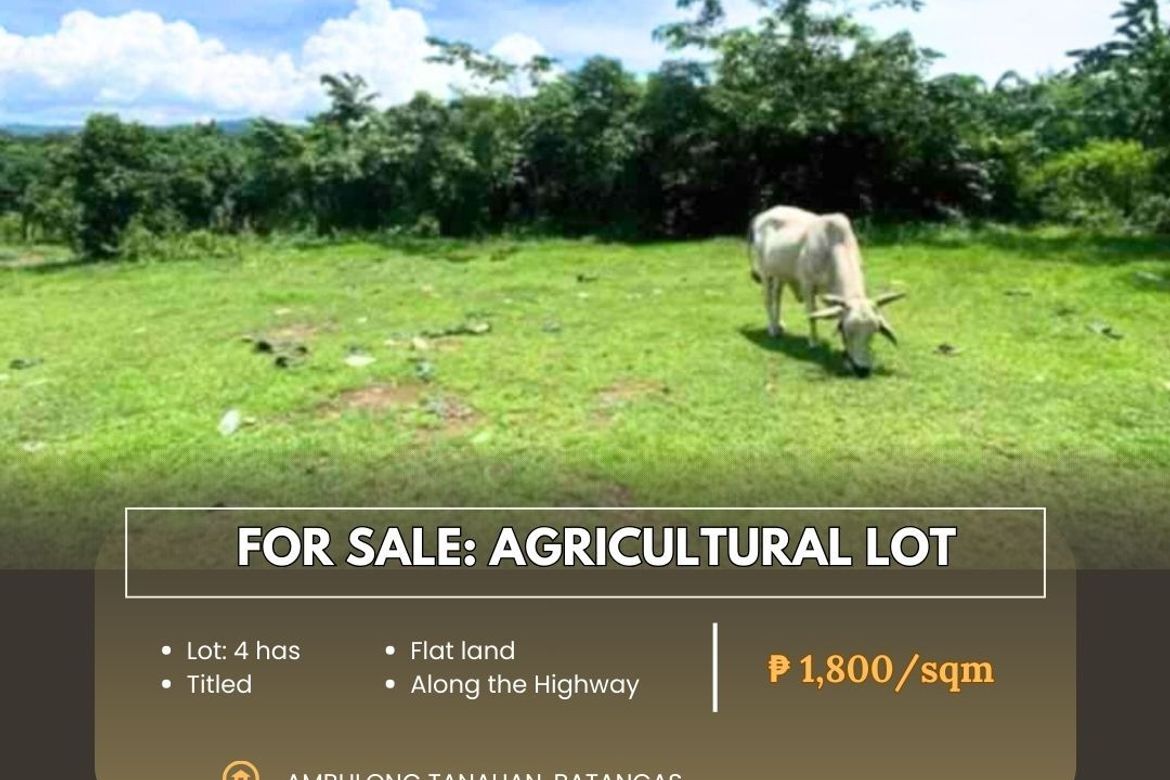 Land for Sale in Ambulong, Tanauan, Batangas