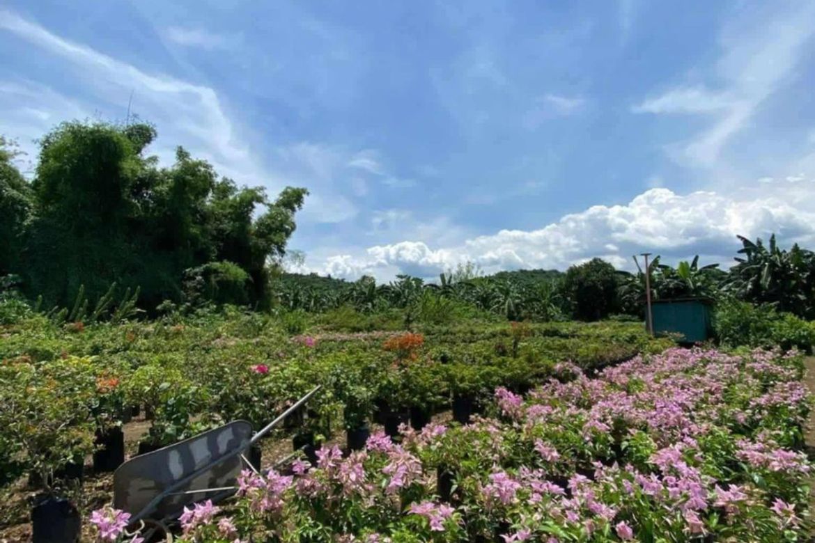 Land for Sale in Ambulong, Tanauan, Batangas – photo 2