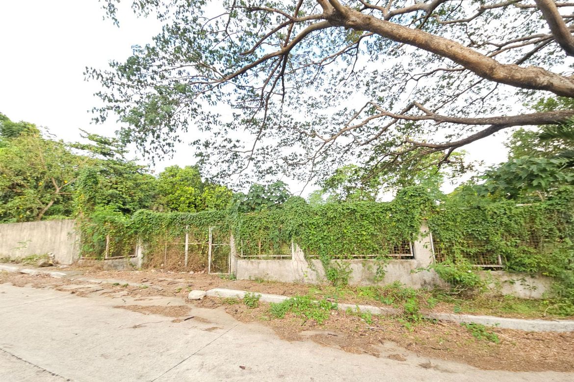 Land for Sale in Ambulong, Tanauan, Batangas – photo 7