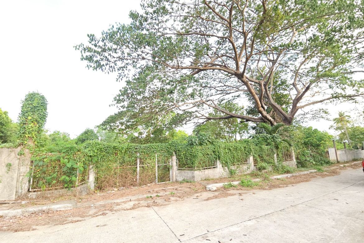 Land for Sale in Ambulong, Tanauan, Batangas – photo 8