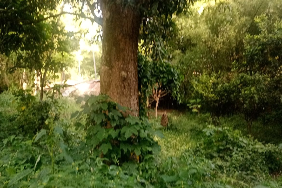 Land for Sale in Ambulong, Tanauan, Batangas – photo 2